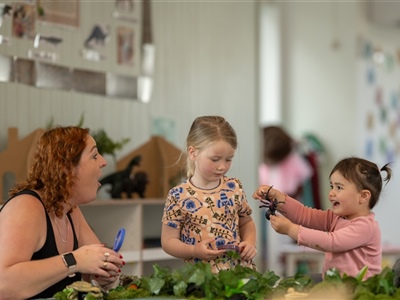 The Beehive Early Learning Centre 98 Glen Road Ranui Auckland